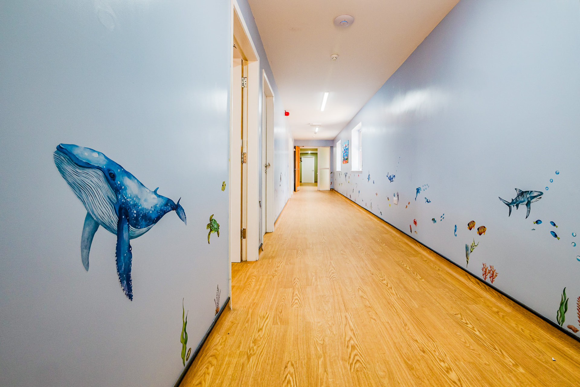 Corridor with an underwater mural of whales and sea life